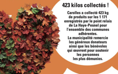 Collecte banque alimentaire 2025