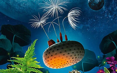 Cinéma – Planètes – 25/04/2026 – 17h – Espace François Simon