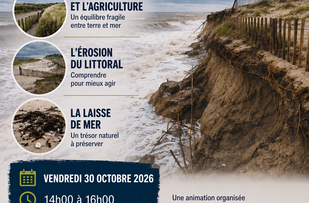 Animation nature – Chasse aux œufs de raies – 30/10