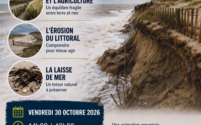 Animation nature – Chasse aux œufs de raies – 30/10